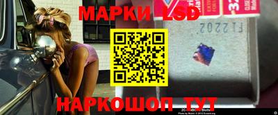 шишки Дубна