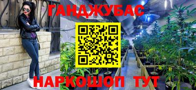 шишки Дубна
