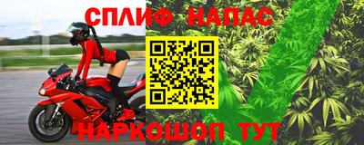 шишки Дубна