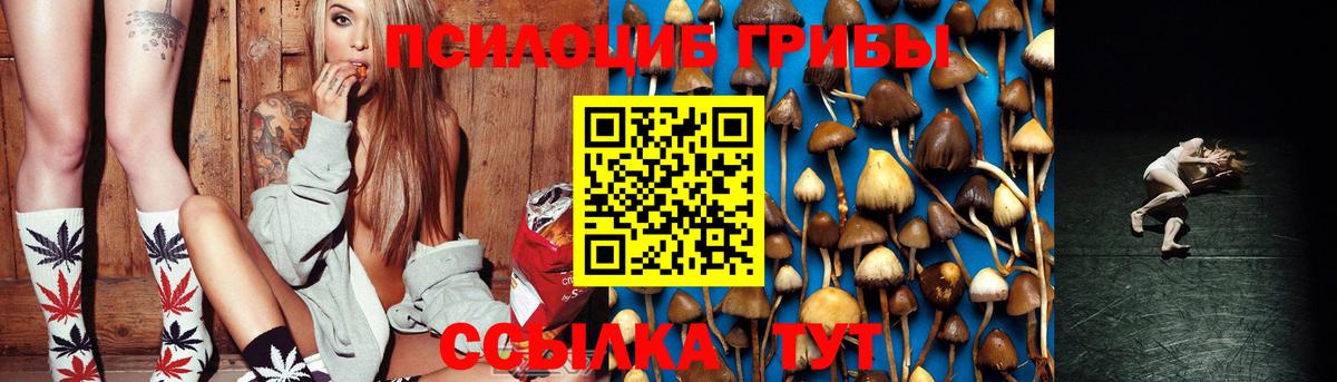 Галлюциногенные грибы Cubensis Новоалтайск